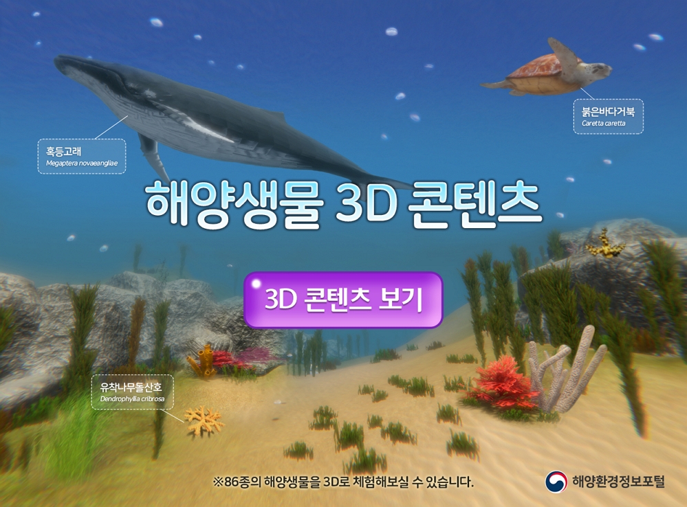 관련 이미지