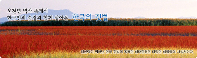 오천년 역사 속에서 한국인의 숨결과 함께 살아온 한국의 갯벌