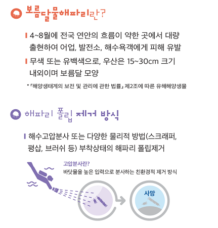 보름달해파리란?, 해파리 폴립 제거 방식