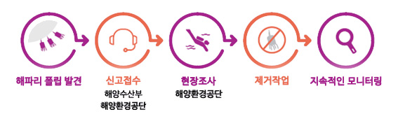 보름달물해파리 폴립 서식지 발견 신고체계