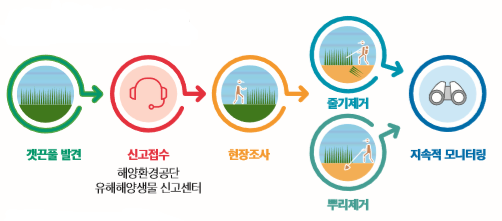 갯끈풀 신고체계